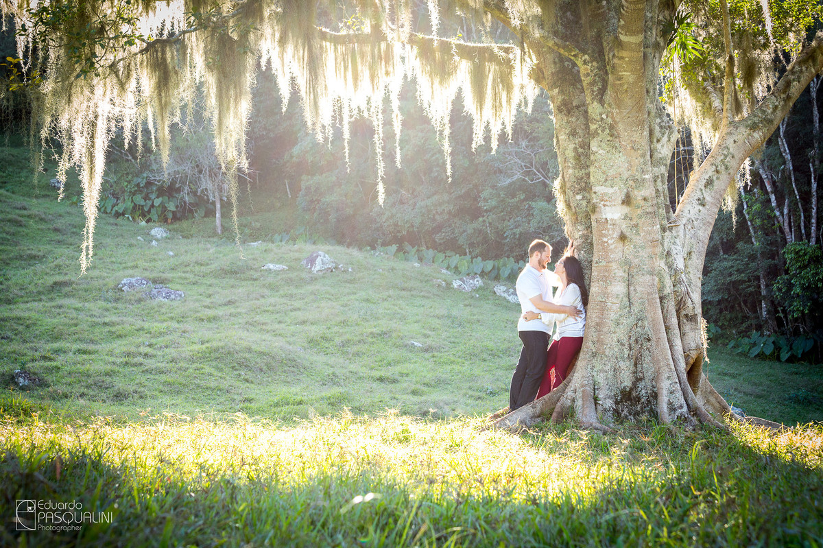 Árvore cheia de barba de velho, chorão, em ensaio de casal. Fotografia de Eduardo Pasqualini, fotógrafo de casamentos e ensaios em Rio do Sul, Santa Catarina.