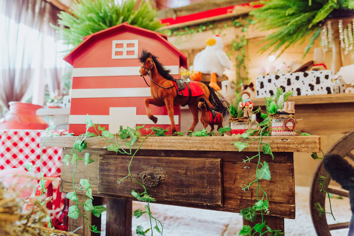Cavalos na decoração. Aniversário um aninho Vicente. Decoração Country, Fazenda, Sítio, Rustico. Fotografia de Eduardo Pasqualini, fotógrafo de casamentos e ensaios em Rio do Sul, Santa Catarina.