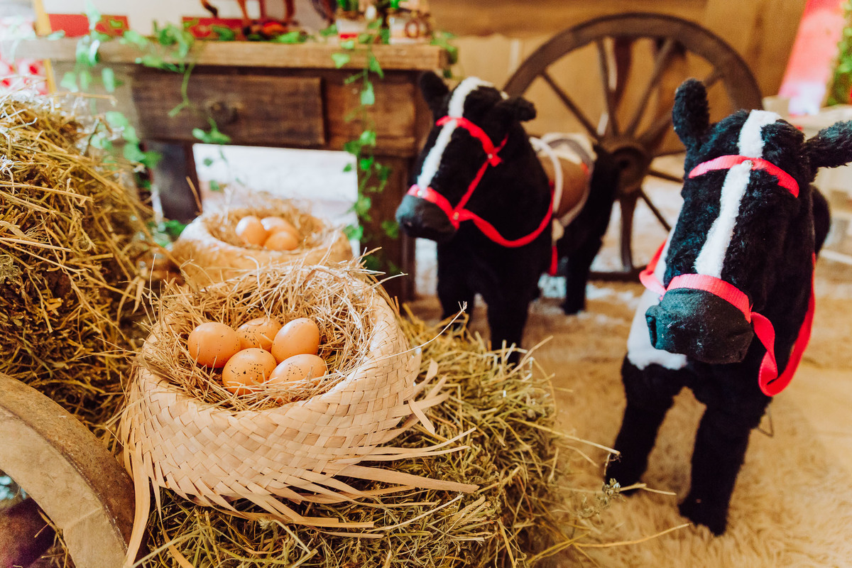 Ovos de galinha. Aniversário um aninho Vicente. Decoração Country, Fazenda, Sítio, Rustico. Fotografia de Eduardo Pasqualini, fotógrafo de casamentos e ensaios em Rio do Sul, Santa Catarina.