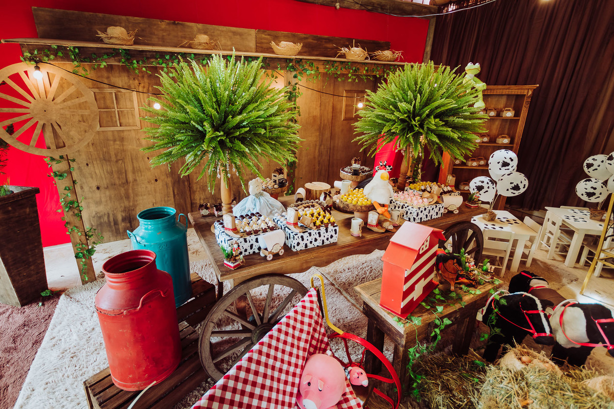 Decoração toda. Aniversário um aninho Vicente. Decoração Country, Fazenda, Sítio, Rustico. Fotografia de Eduardo Pasqualini, fotógrafo de casamentos e ensaios em Rio do Sul, Santa Catarina.