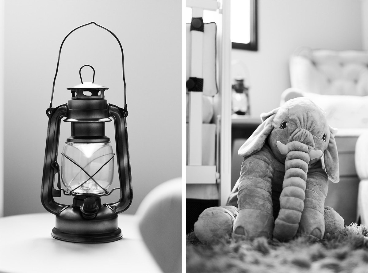 Lampião e Elefante de pelúcia. Ensaio Gestante Ângela e Anderson, Gestação Davi. Cachoeira Trombudo Central. Fotografia de Eduardo Pasqualini, fotógrafo de casamentos e ensaios em Rio do Sul, Santa Catarina.