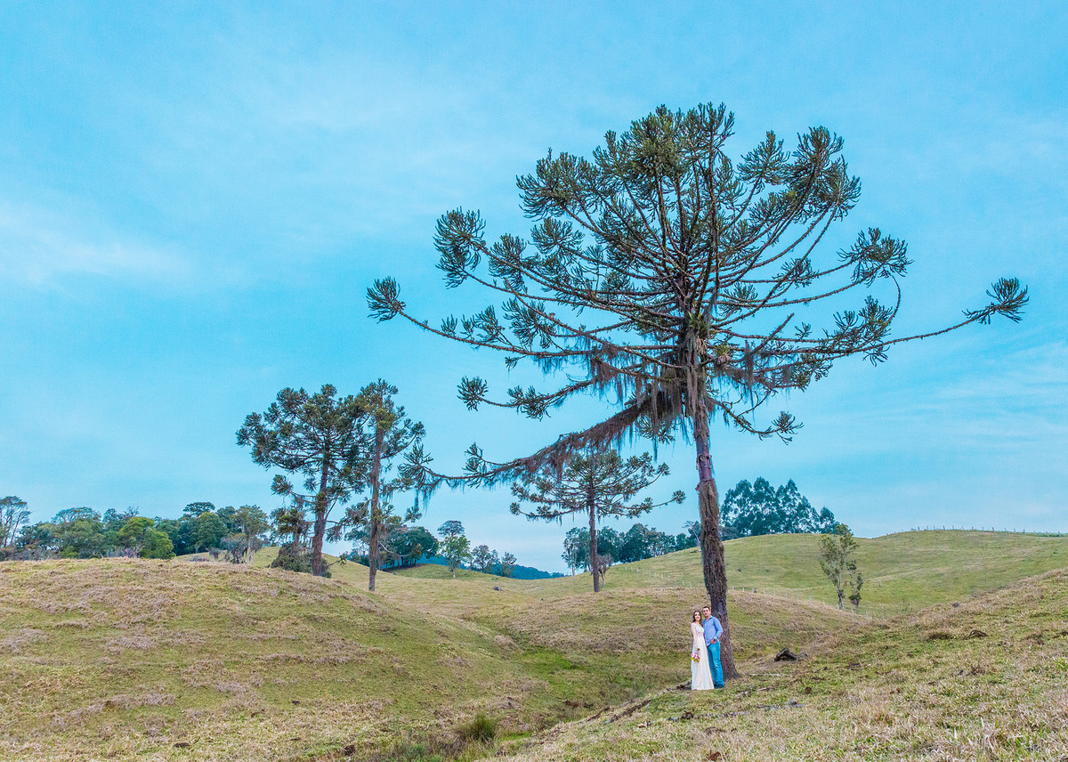 Araucária, um casal e uma história. Eduardo Pasqualini Fotografias - Fotógrafo profissional de ensaio e casamento em Santa Catarina, Brasil. Braço do Trombudo.