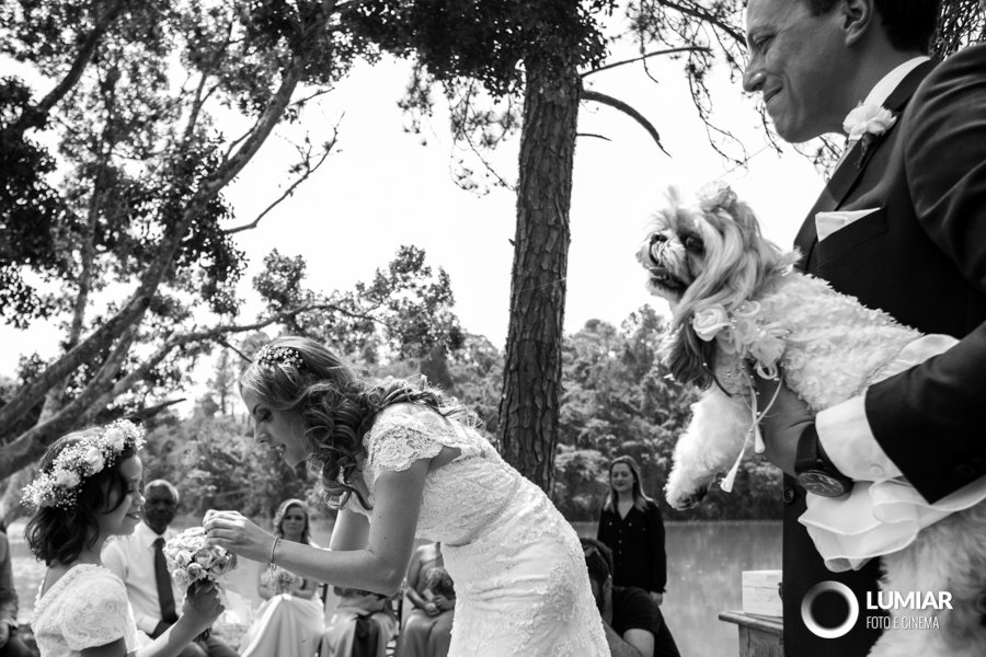 fotografia de casamento