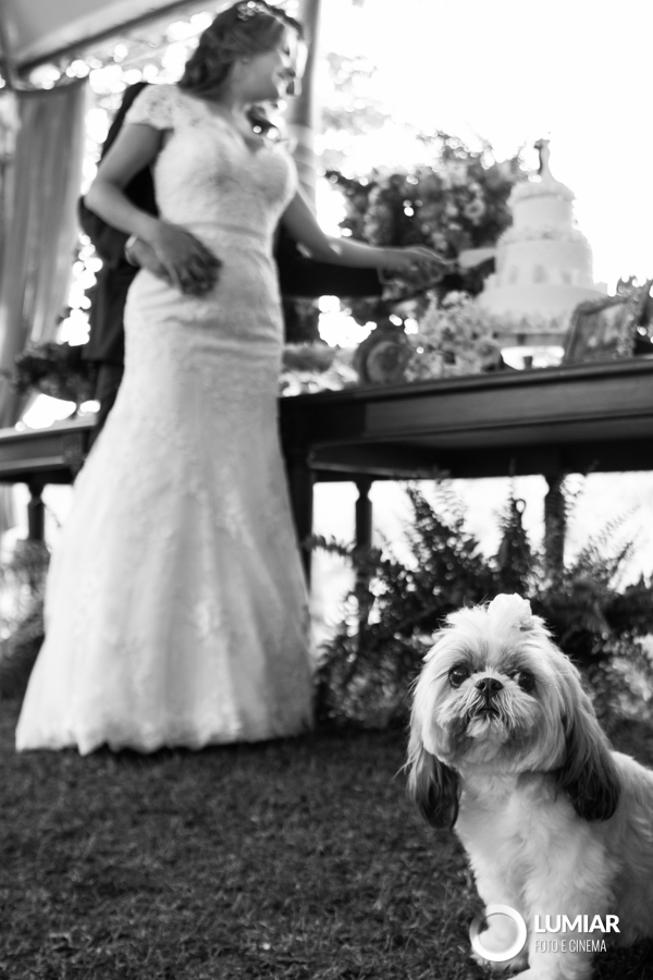 daminha de honra de olho na mãe