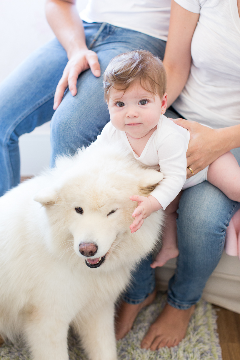 ensaio de bebe com cachorro