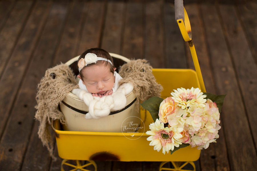 newborn com flores