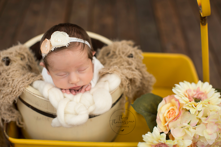 fotografia de recem nascido