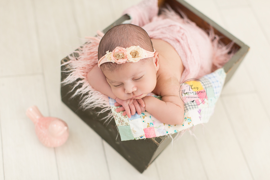 ensaio de recem nascido em alphaville