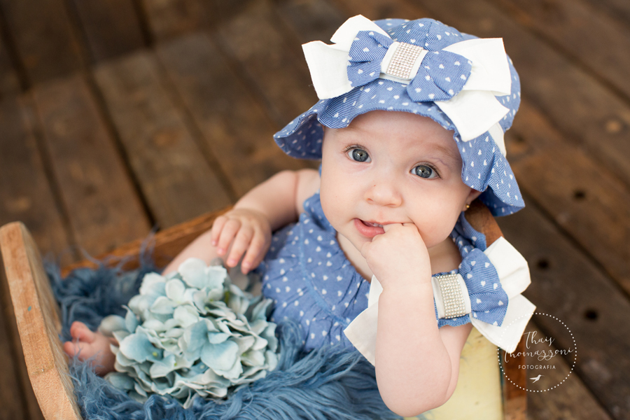 book de acompanhamento de bebe