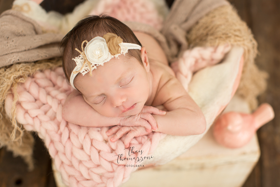 dicas de ensaio newborn