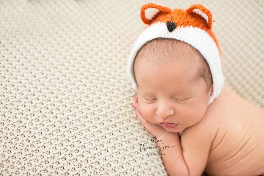 fotografia de recem nascido - menino de raposinha