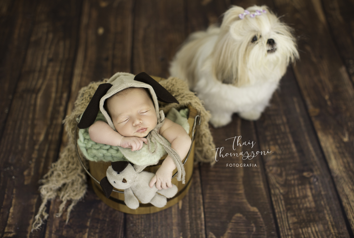 ensaio newborn em casa com o cachorro