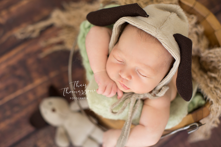 recem nascidos com touquinha de cachorro