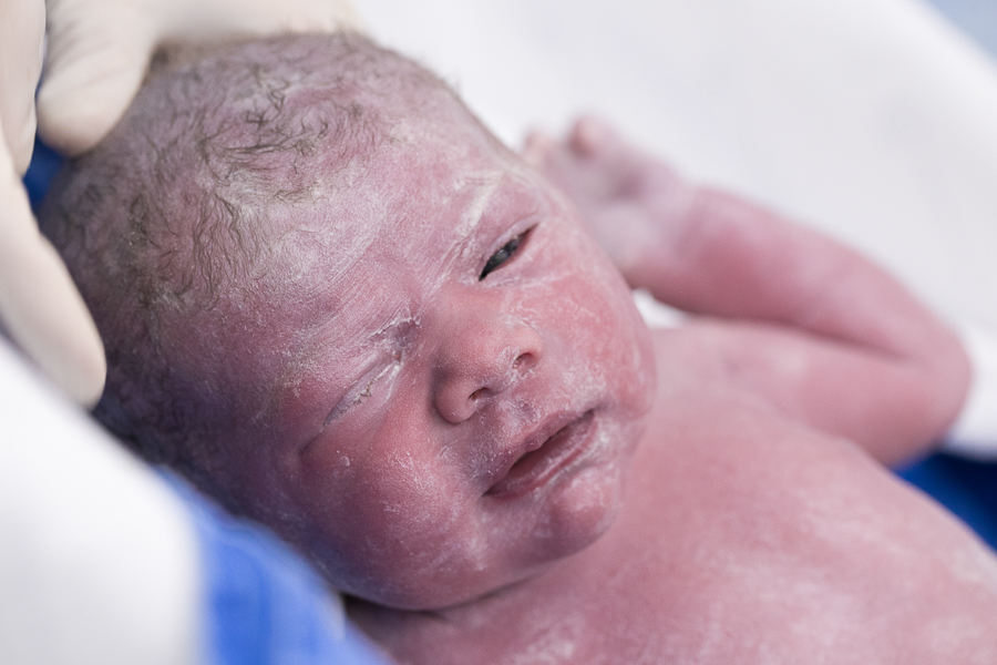 registro de fotografias no pro Matre