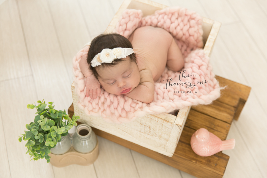 ensaio de newborn alphaville