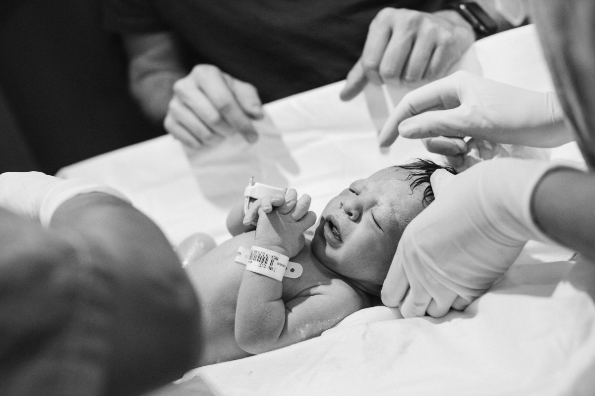 fotos de bebe recem nascidos