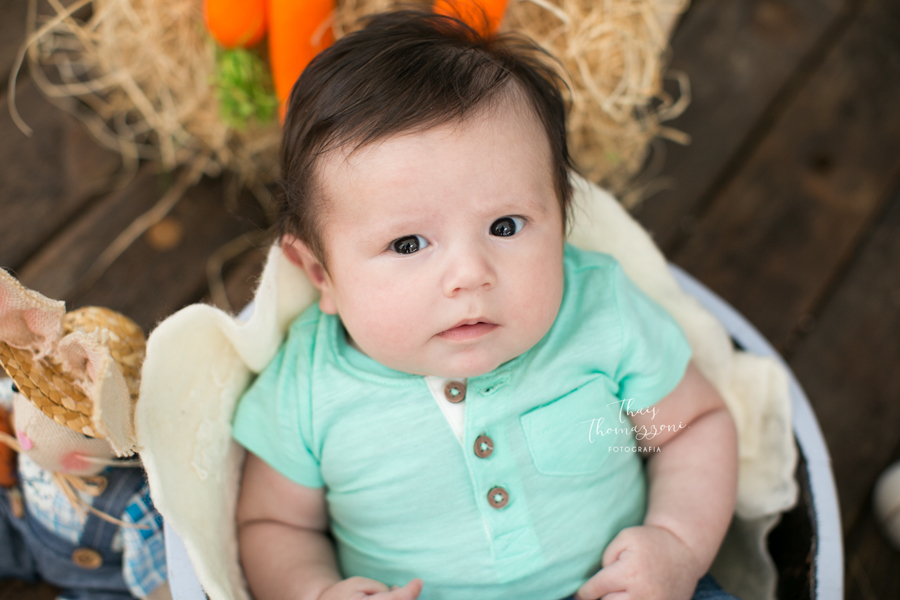 Fotos de acompanhamento