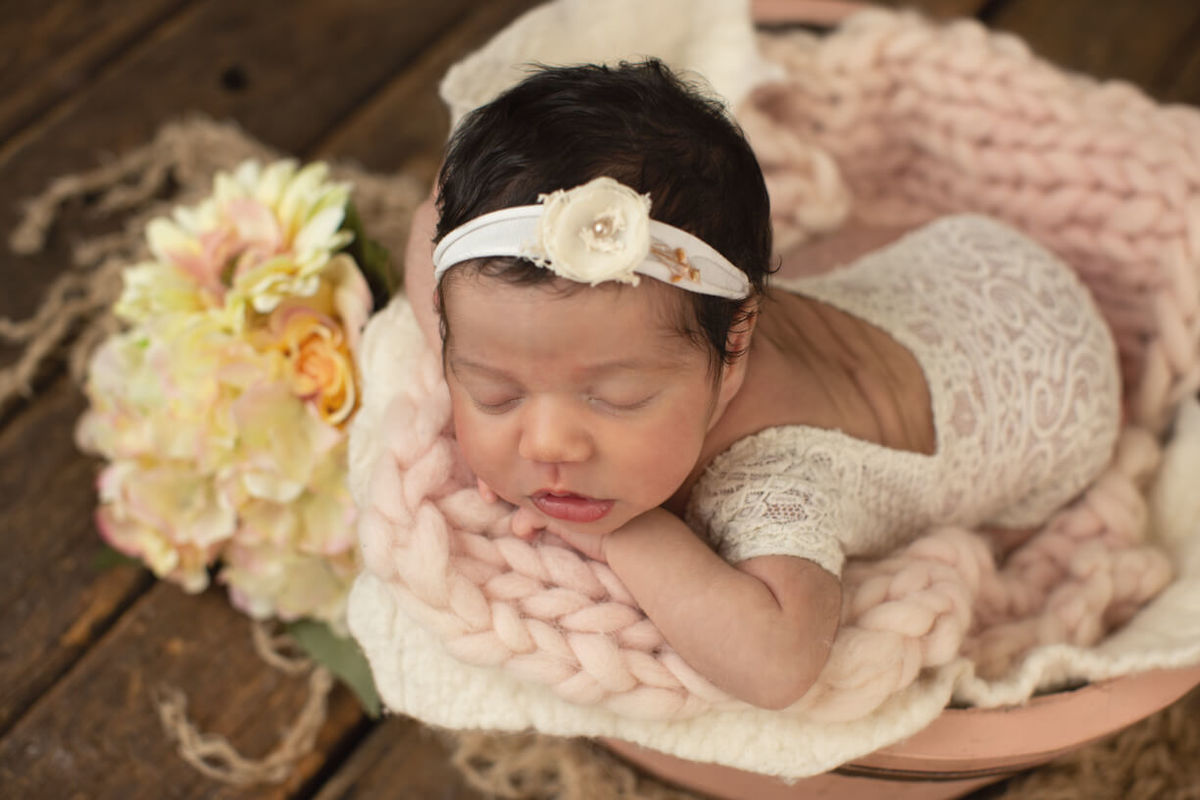 fotos de bebe - osasco