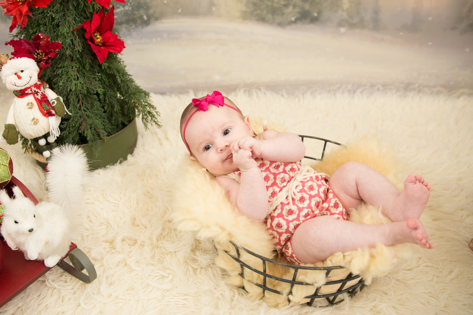 mini ensaio de natal