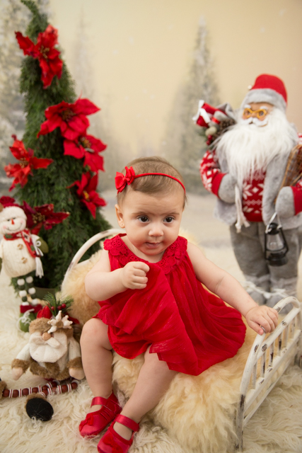 fotos de ensaio de natal