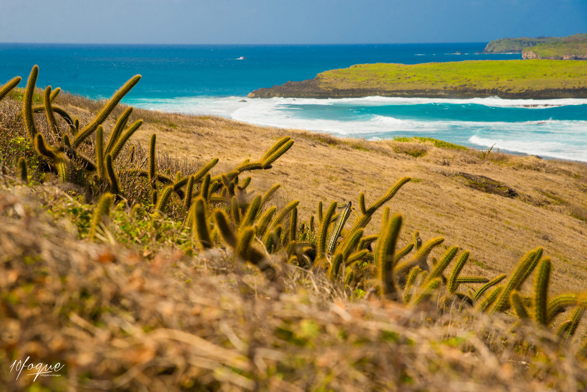 Fotógrafo de casamento Hugo Maranhão - 15 anos - infantil - debutante - casamento - gestante - recife - olinda - pernambuco - alagoas - natal - joao pessoa - maceio - fortaleza