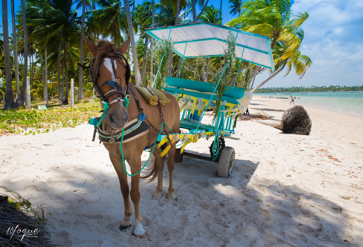 Fotógrafo de casamento Hugo Maranhão - 15 anos - infantil - debutante - casamento - gestante - recife - olinda - pernambuco - alagoas - natal - joao pessoa - maceio - fortaleza
