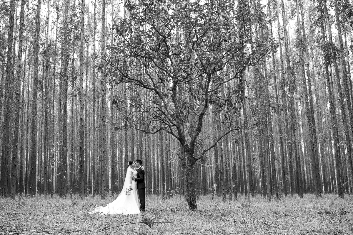ensaio externo casamento fotos