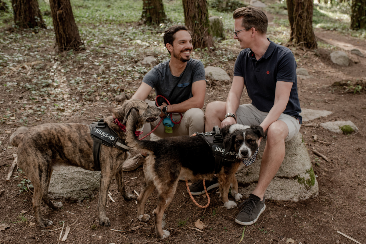 gay engagement session