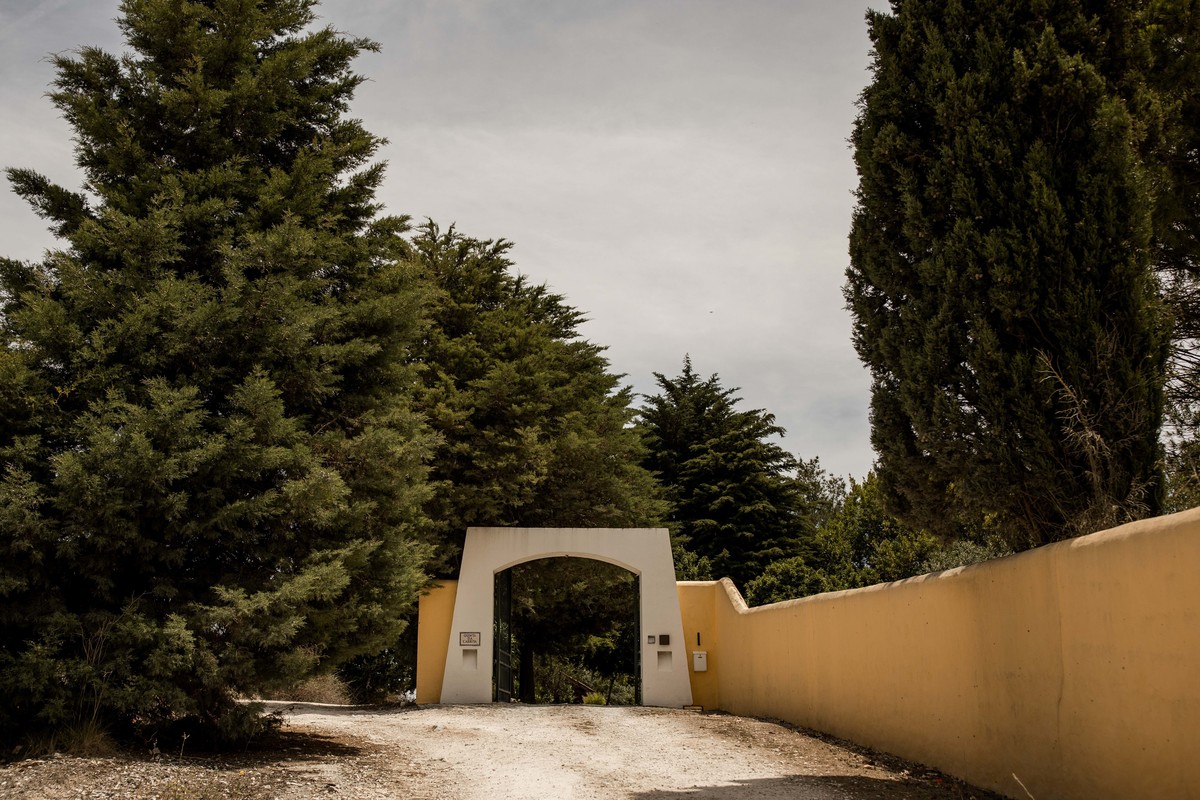 preparação do noivo na quinta da cabrita