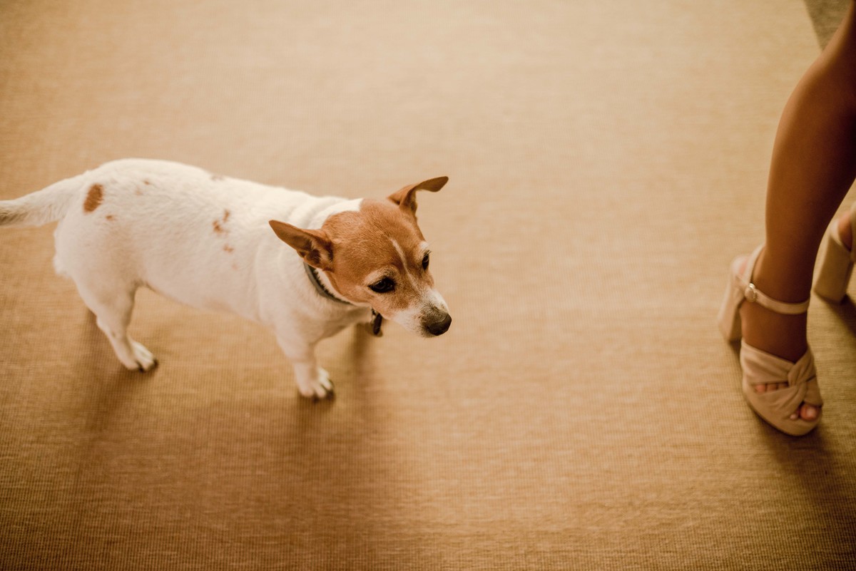 detalhes do casamento