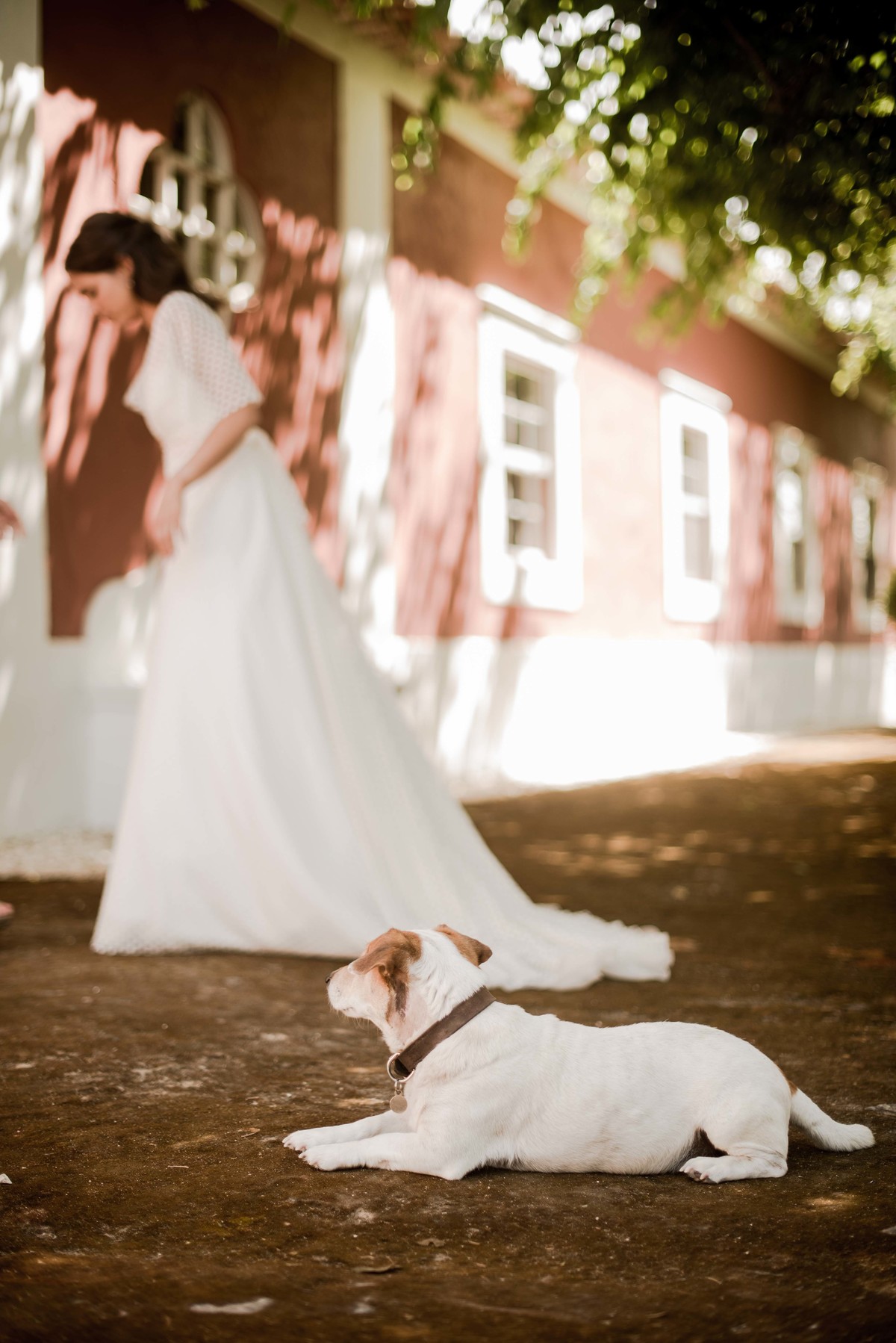 detalhes de casamento