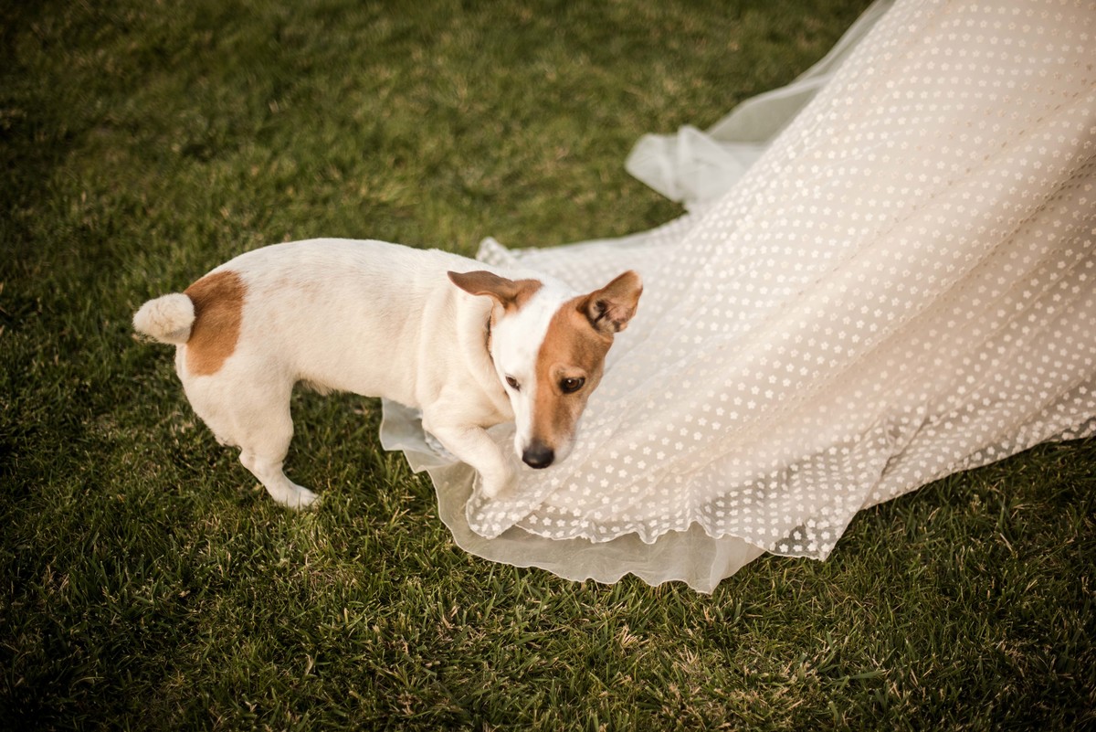 quintas para casar em sintra