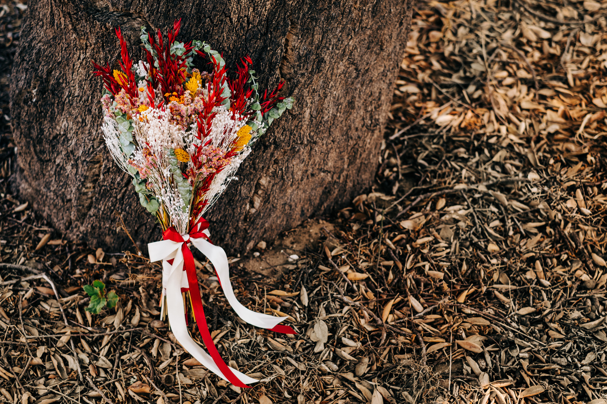 Ideias Campestres Setúbal