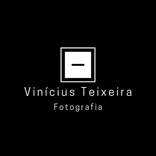 Logotipo de VINICIUS VICENTE TEIXEIRA