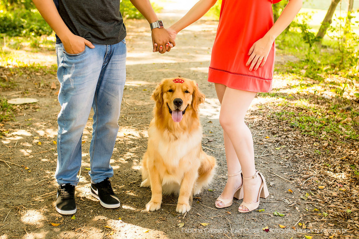 ensaio com cachorro, golden, retriever, ensaio de casal com cachorro, ensaio com golden, jardim botanico de Sao paulo, ensaio no jardim botanico