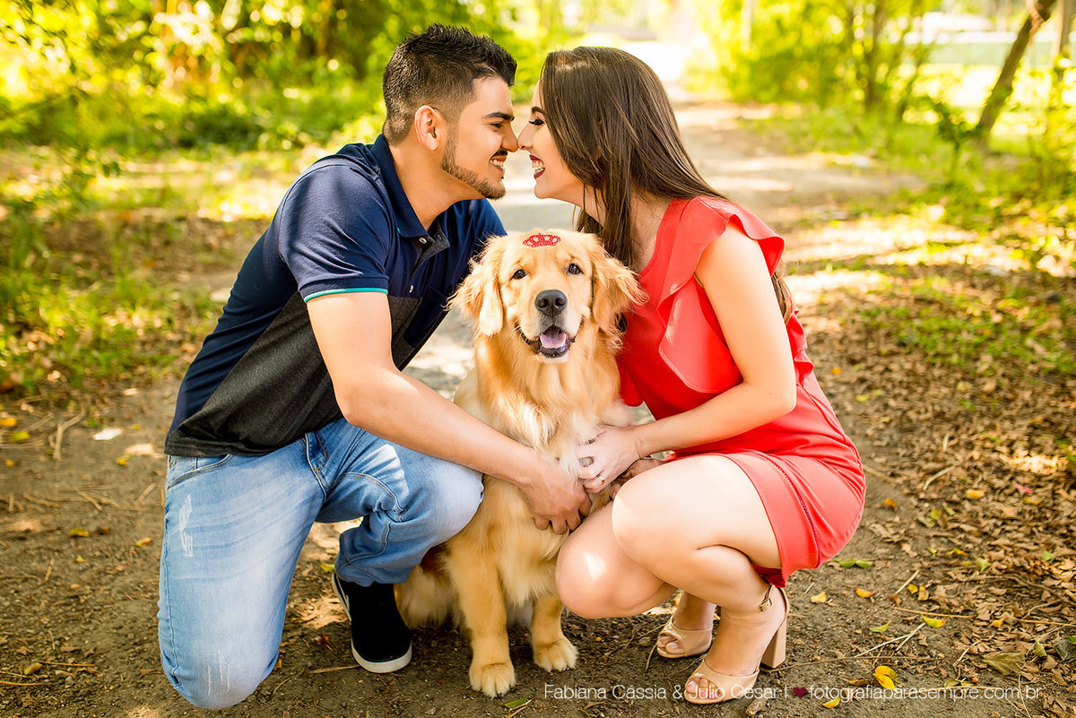 ensaio com cachorro, golden, retriever, ensaio de casal com cachorro, ensaio com golden, jardim botanico de Sao paulo, ensaio no jardim botanico