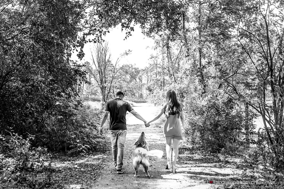 ensaio com cachorro, golden, retriever, ensaio de casal com cachorro, ensaio com golden, jardim botanico de Sao paulo, ensaio no jardim botanico