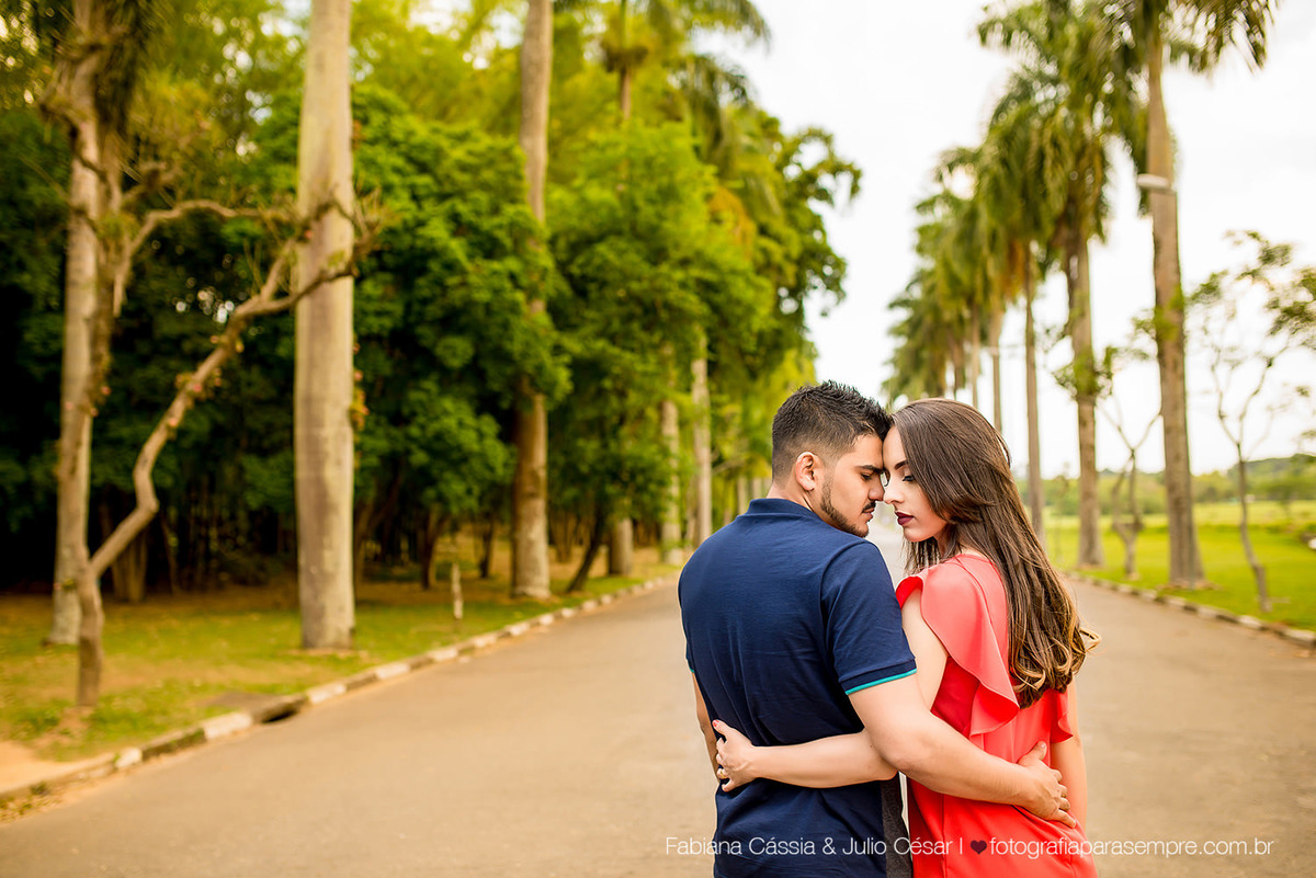 ensaio com cachorro, golden, retriever, ensaio de casal com cachorro, ensaio com golden, jardim botanico de Sao paulo, ensaio no jardim botanico