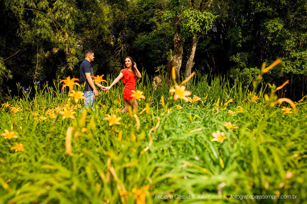 ensaio com cachorro, golden, retriever, ensaio de casal com cachorro, ensaio com golden, jardim botanico de Sao paulo, ensaio no jardim botanico