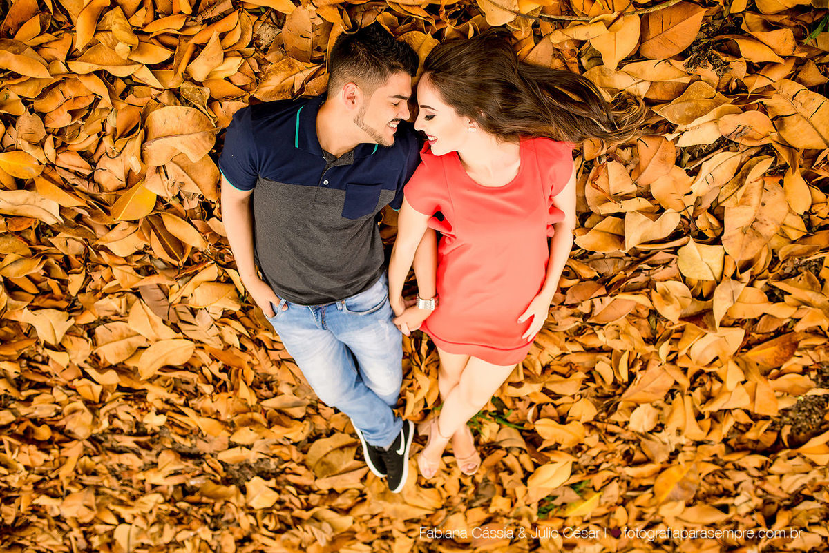 ensaio com cachorro, golden, retriever, ensaio de casal com cachorro, ensaio com golden, jardim botanico de Sao paulo, ensaio no jardim botanico