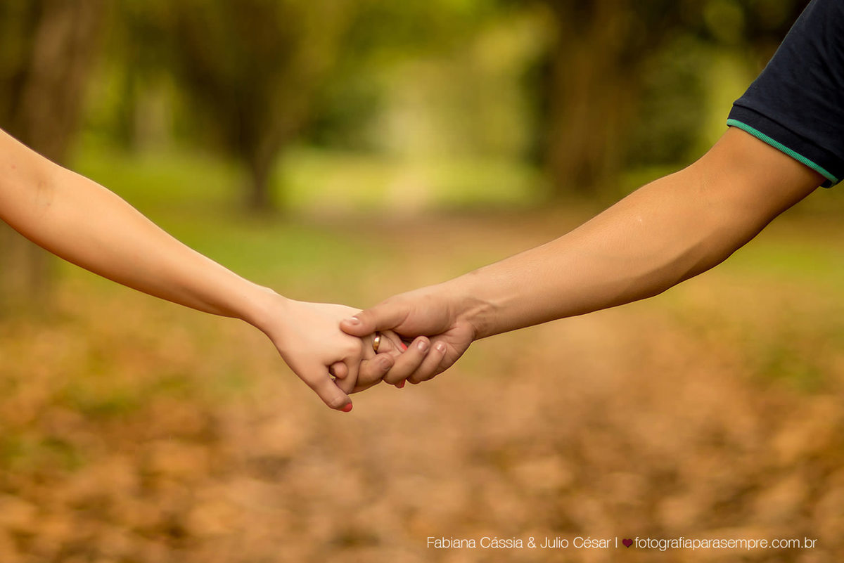 ensaio com cachorro, golden, retriever, ensaio de casal com cachorro, ensaio com golden, jardim botanico de Sao paulo, ensaio no jardim botanico