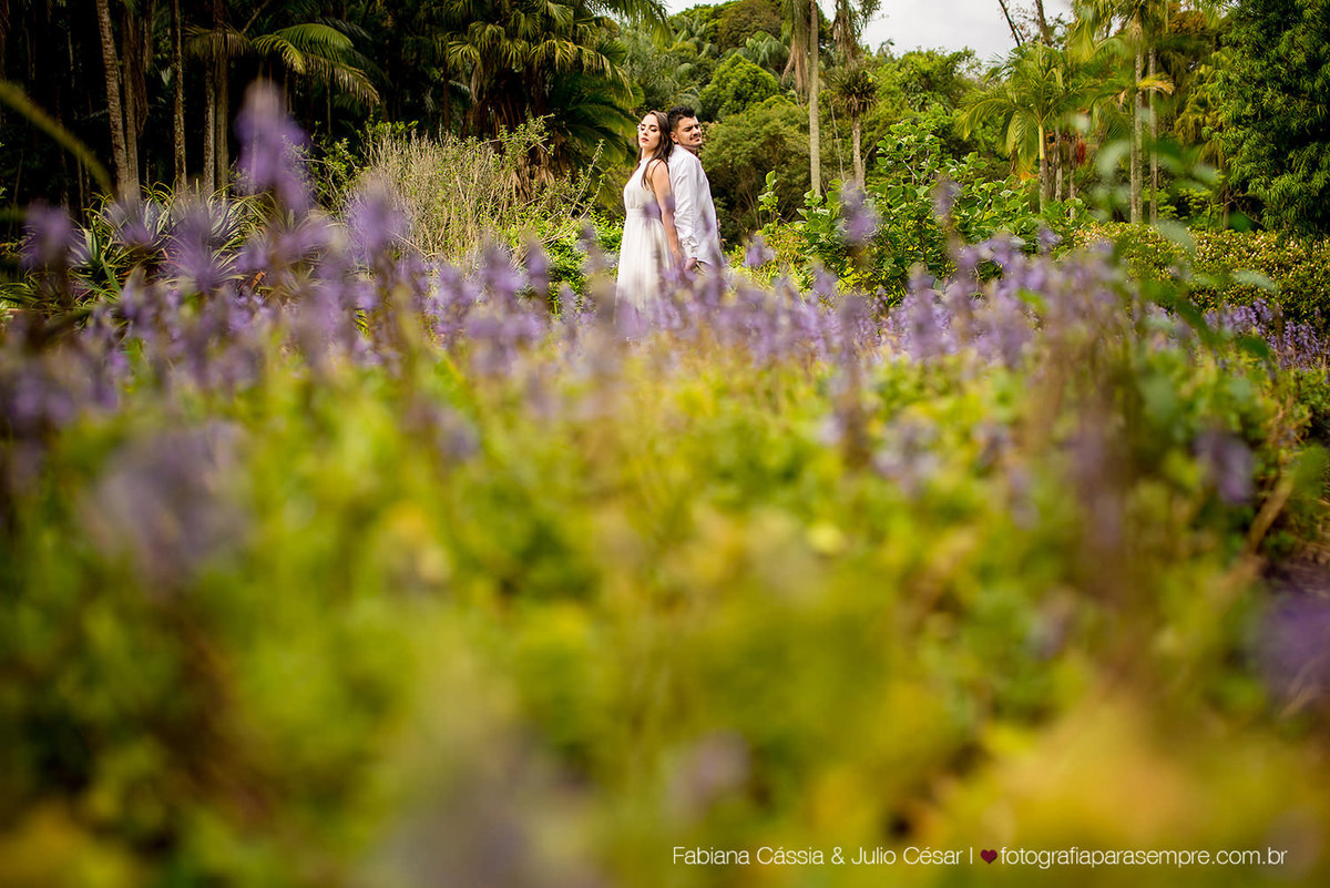 ensaio com cachorro, golden, retriever, ensaio de casal com cachorro, ensaio com golden, jardim botanico de Sao paulo, ensaio no jardim botanico
