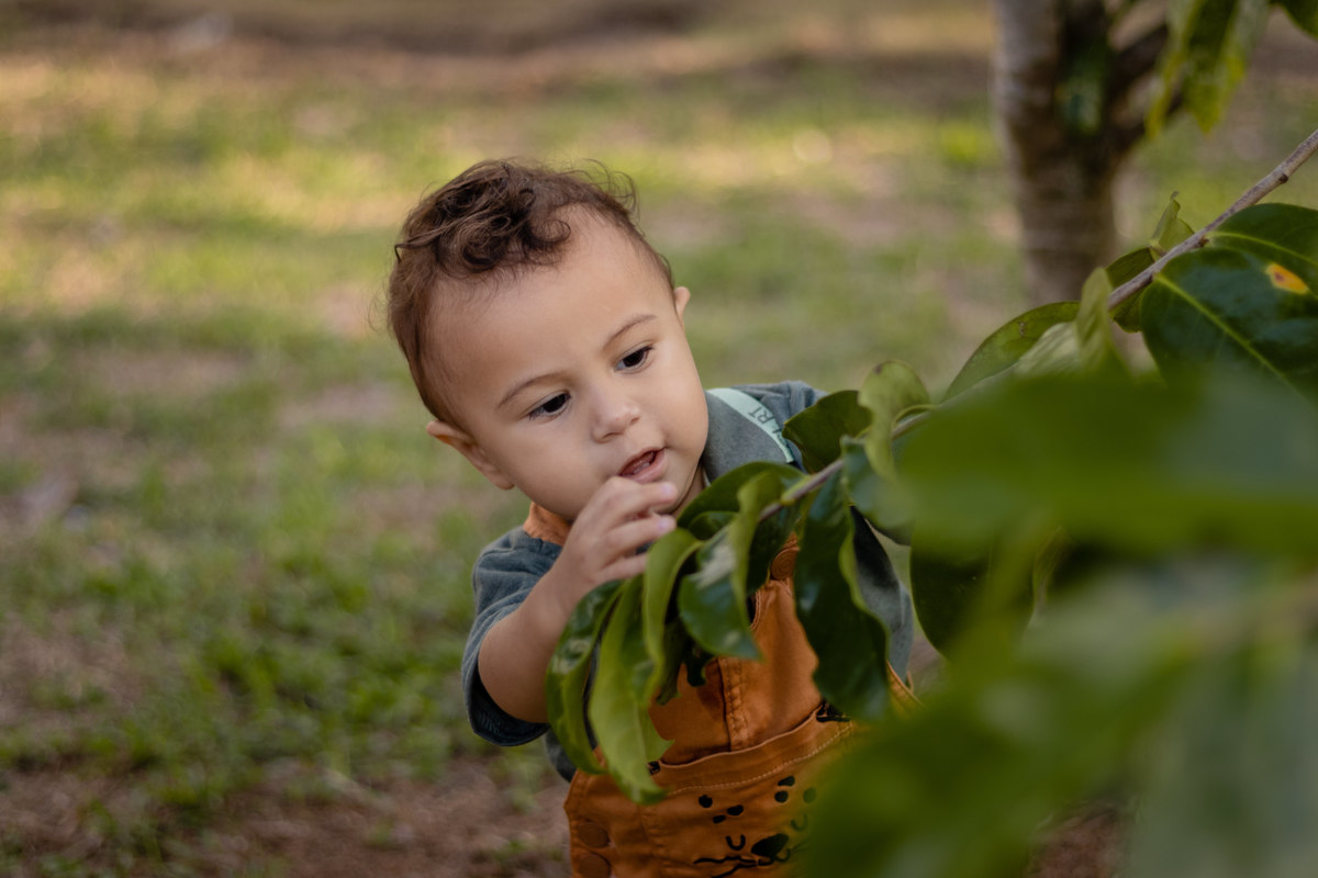 família, retrato em família; 