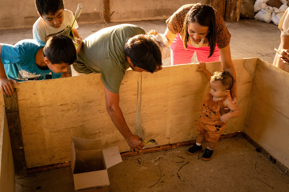 amigos; presente; roça; festa na roça; fazenda; aniversário;