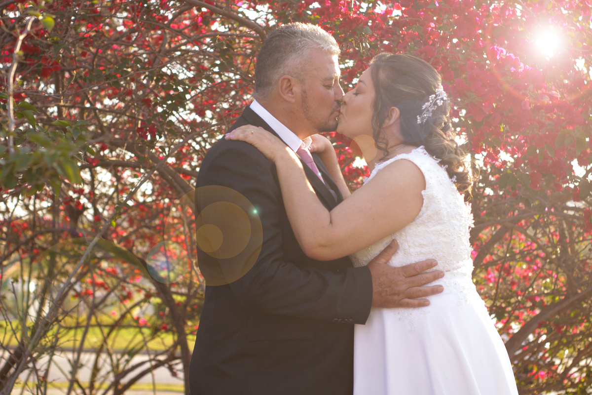 pré wedding- arvore vermelha - sol - casamento - casamento cívil - noiva- bueque - noivo  votorantim - sao paulo - salto - sao paulo 