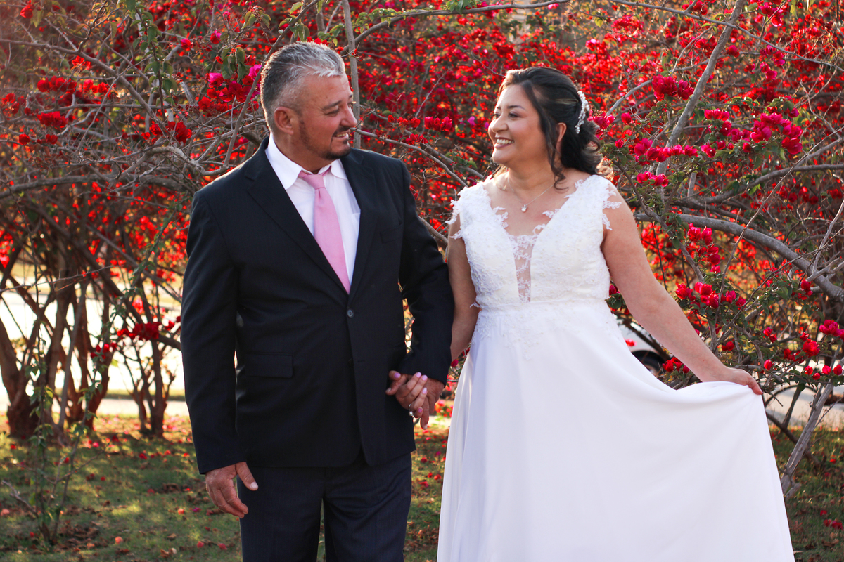 pré wedding- arvore vermelha - sol - casamento - casamento cívil - noiva- bueque - noivo  votorantim - sao paulo - salto - sao paulo 