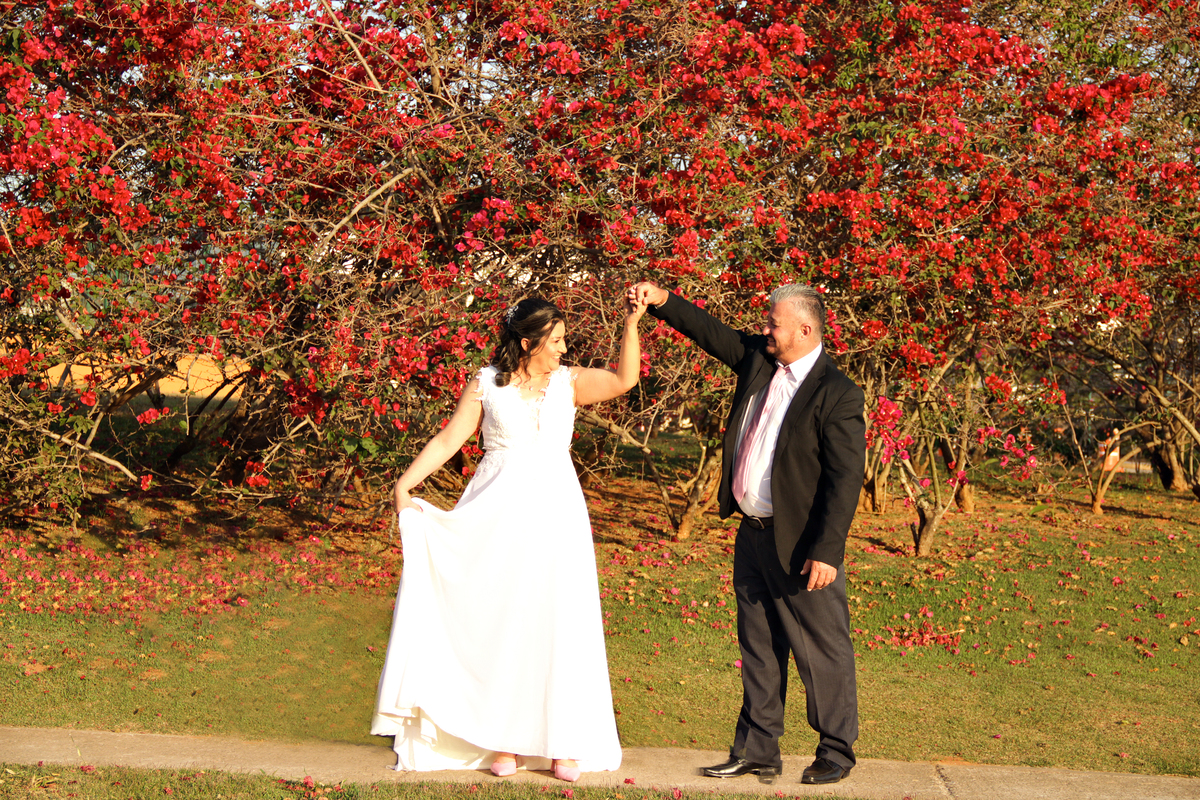 pré wedding- arvore vermelha - sol - casamento - casamento cívil - noiva- bueque - noivo  votorantim - sao paulo - salto - sao paulo 