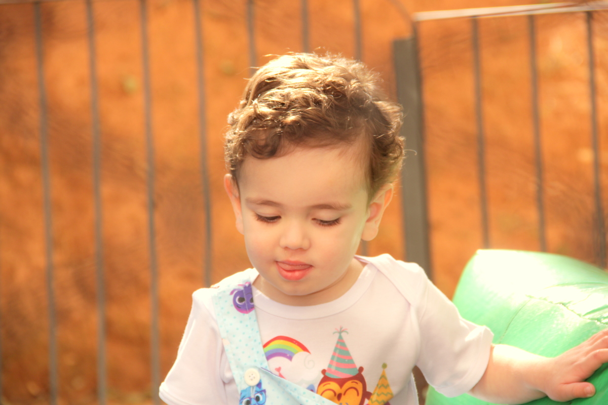 aniversario de criança - aniversario infantil - bolofofo - 2 anos - foto de aniversário 