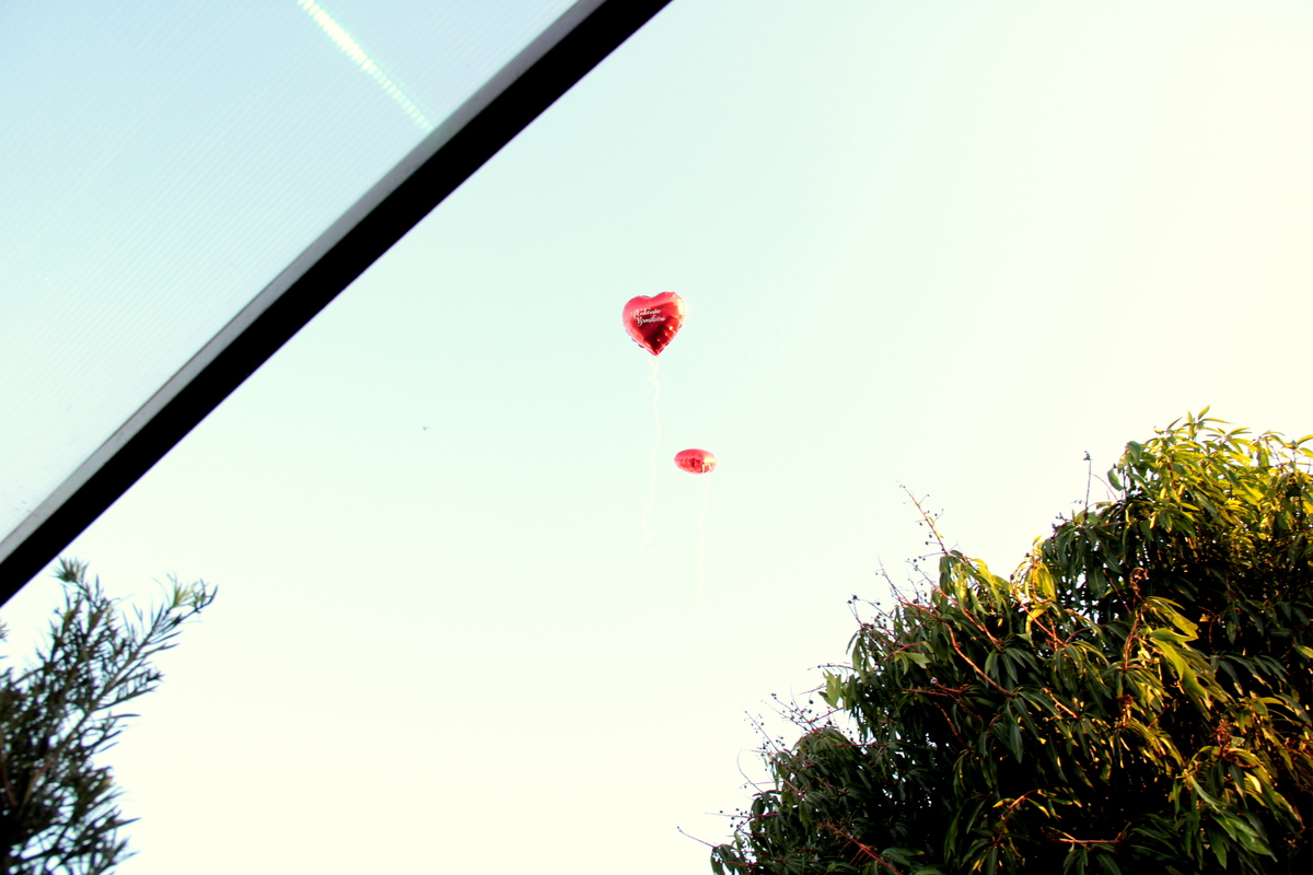 casamento - renovação de votos - bodas de prata- bodas de ouro - fotografia de  casamento - foto de casamento - bodas de ouro - noiva