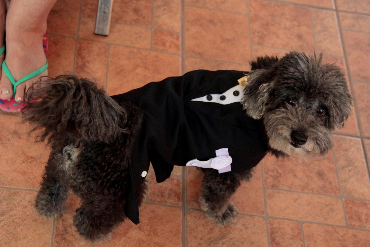 casamento - renovação de votos - bodas de prata- bodas de ouro - fotografia de  casamento - foto de casamento - bodas de ouro - noiva